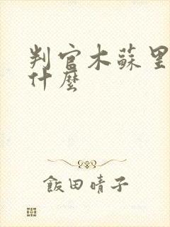 判官木苏里写了什么