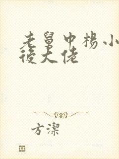 老舅中杨小姐背后大佬封面