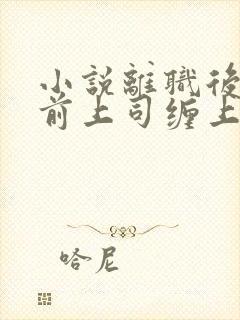 小说离职后我被前上司缠上了免费阅读全文