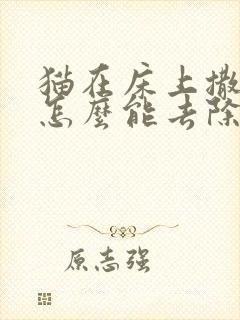 猫在床上撒尿,怎么能去除猫尿味