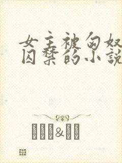 女主被匈奴男主囚禁的小说