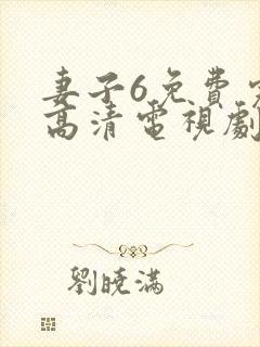 妻子6免费完整高清电视剧封面