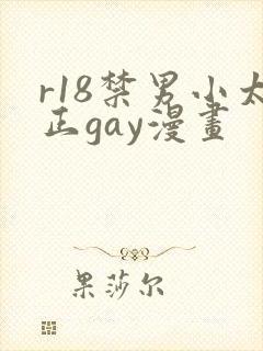 r18禁男小太正gay漫画封面