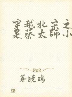 穿越北宋之我爹是蔡太师小说