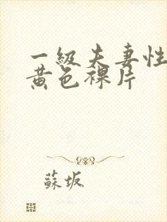 一级夫妻性生活黄色裸片