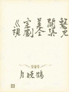 《完美关系》电视剧全集免费观看