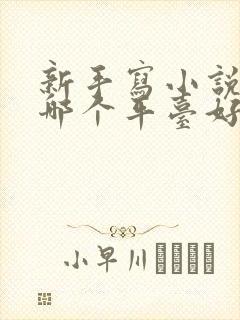 新手写小说赚钱哪个平台好