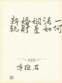 新婚姻法一方出轨财产如何分割