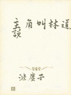 主角叫林道的小说