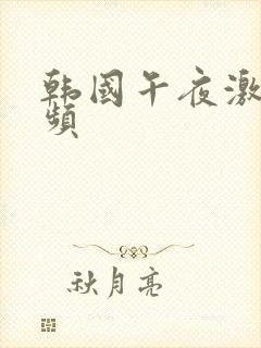 韩国午夜激情视频