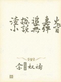 渣总追妻火葬场小说无弹窗