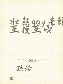壮熊gay老头互摸互吃封面