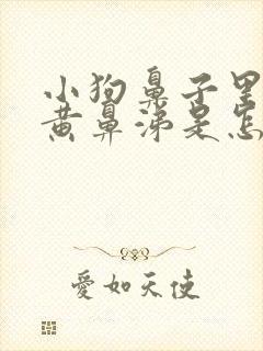 小狗鼻子里流浓黄鼻涕是怎么回事