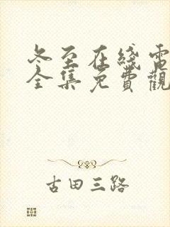 冬至在线电视剧全集免费观看高清封面