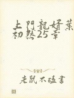 上门龙婿叶辰萧初然25章