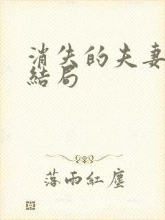 消失的夫妻凶手结局封面