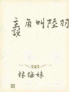 主角叫陆羽的小说