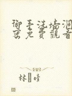 御手洗墙洞的秘密免费观看