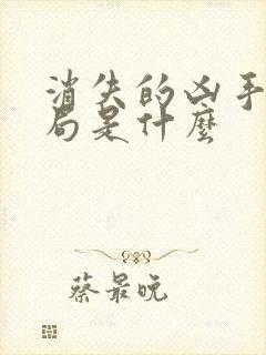 消失的凶手大结局是什么