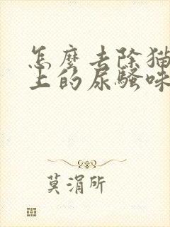 怎么去除猫咪身上的尿骚味