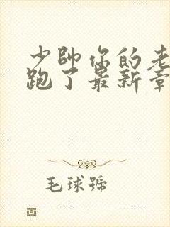 少帅你的老婆又跑了最新章节免费阅读