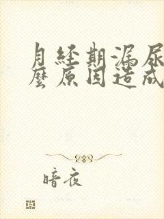 月经期漏尿是什么原因造成的