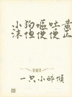 小狗呕吐黄水泡沫但便便正常