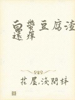 白带豆腐渣阴道还痒