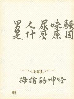 男人尿味骚气大是什么原因