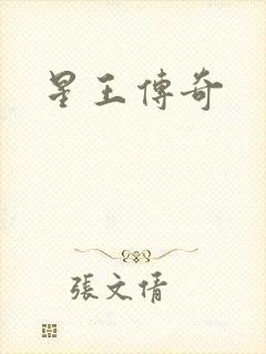 星王传奇