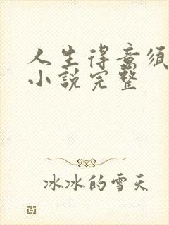 人生得意须纵欢小说完整