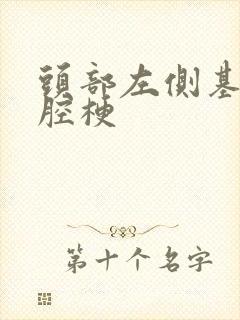 头部左侧基底节腔梗