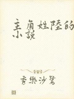 主角姓陆的重生小说