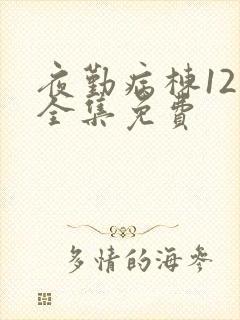 夜勤病栋12集全集免费封面