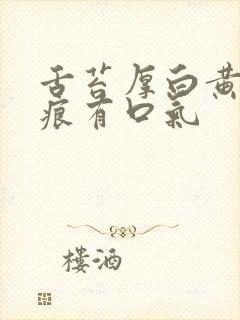 舌苔厚白黄有齿痕有口气