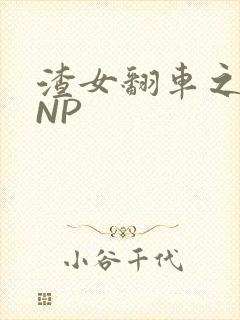 渣女翻车之后 NP