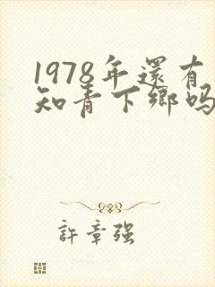 1978年还有知青下乡吗封面