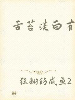 舌苔淡白有齿痕