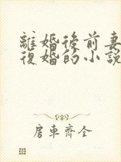 离婚后前妻拒不复婚的小说