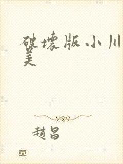 破坏版小川阿佐美