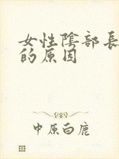 女性阴部长白发的原因封面