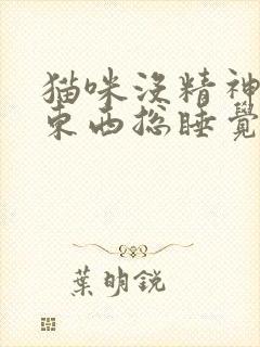 猫咪没精神不吃东西总睡觉还呕吐封面