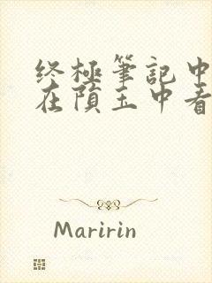 终极笔记中小哥在陨玉中看到了什么