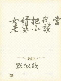 女婿把我当成他老婆小说