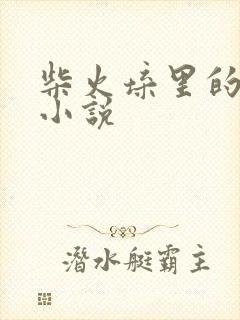 柴火垛里的疯狂小说封面