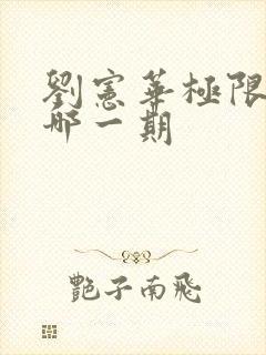 刘宪华极限挑战哪一期封面