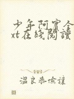 少年阿宾全集txt在线阅读