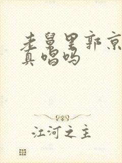 老舅里郭京飞是真唱吗