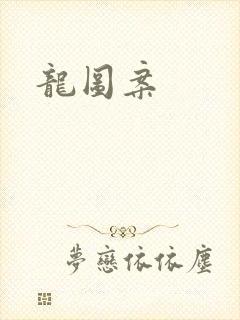 龙图案封面