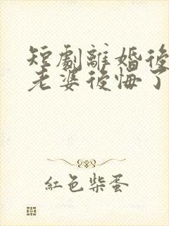 短剧离婚后总裁老婆后悔了